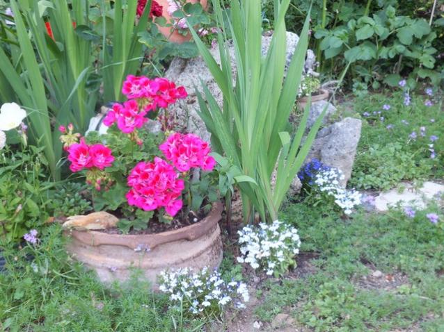 Name:  DSCF3708.jpg
Views: 455
Size:  70.7 KB