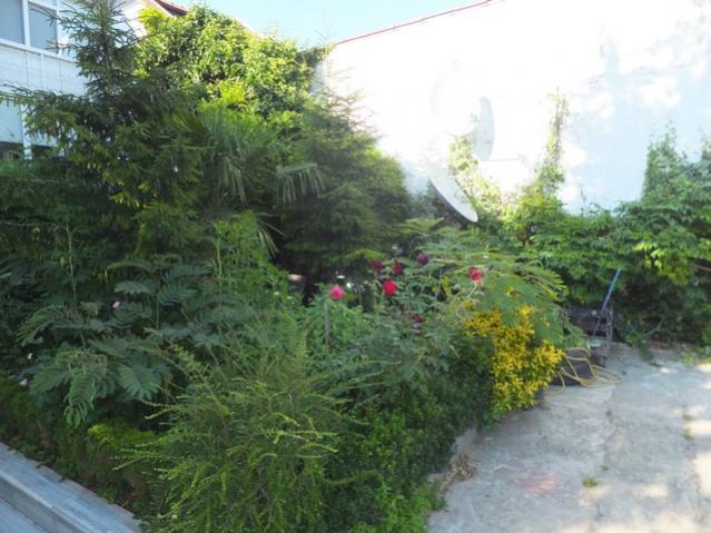 Name:  DSCF3726.jpg
Views: 460
Size:  53.7 KB