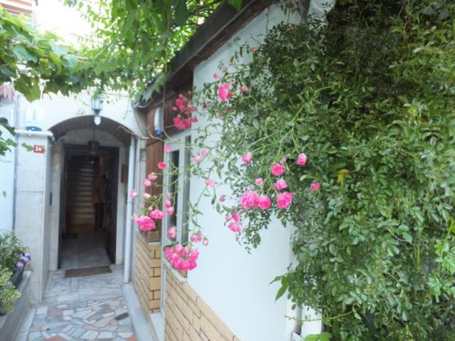 Name:  DSCF3731.jpg
Views: 507
Size:  62.6 KB