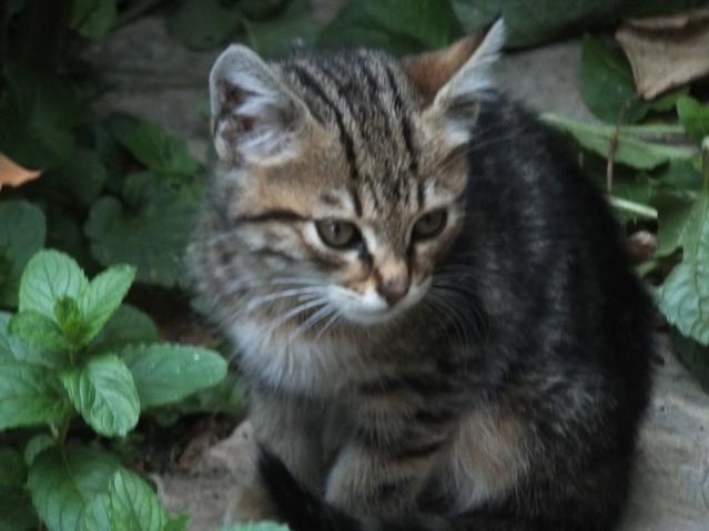 Name:  DSCF3743.jpg
Views: 519
Size:  33.3 KB