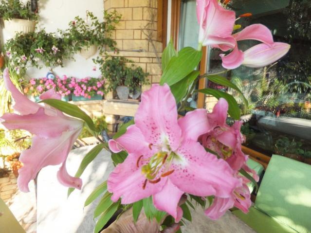 Name:  DSCF3748.jpg
Views: 694
Size:  53.6 KB