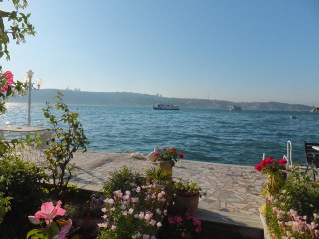 Name:  DSCF3767.jpg
Views: 457
Size:  44.0 KB