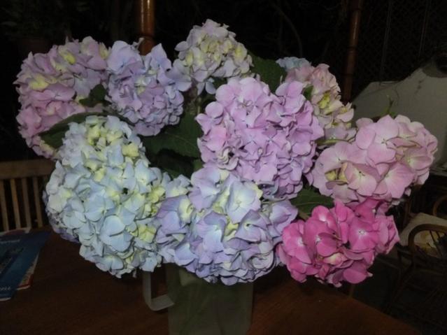 Name:  DSCF3783.jpg
Views: 403
Size:  41.3 KB