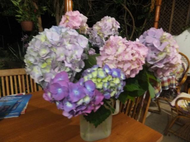 Name:  DSCF3784.jpg
Views: 448
Size:  43.0 KB