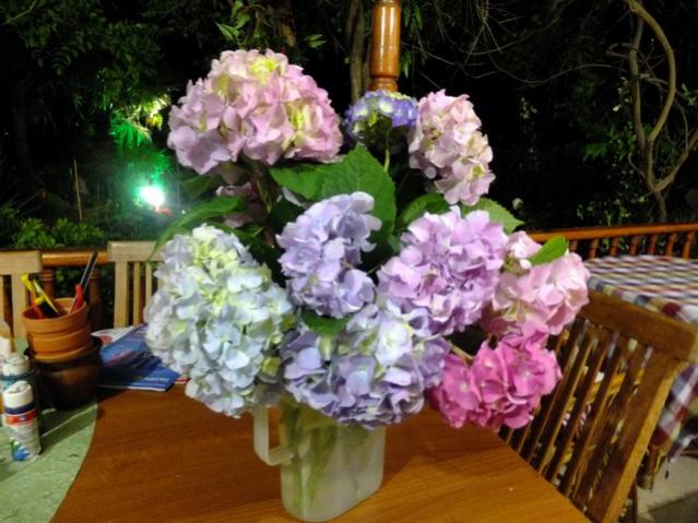 Name:  DSCF3788.jpg
Views: 440
Size:  54.5 KB