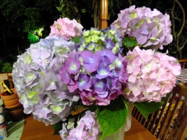 Name:  DSCF3789.jpg
Views: 445
Size:  54.3 KB