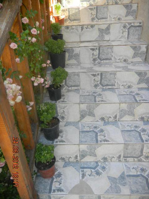 Name:  DSCN1806.jpg
Views: 731
Size:  50.5 KB