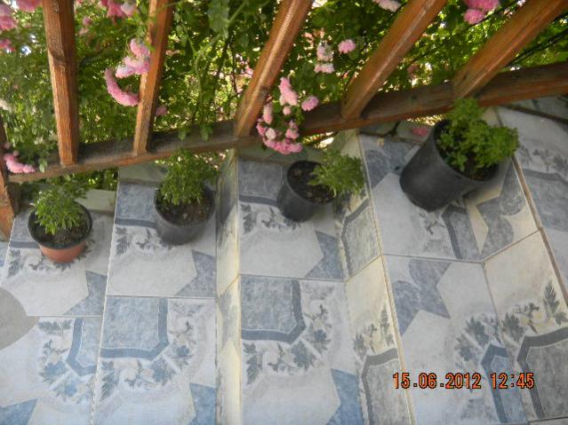Name:  DSCN1453.jpg
Views: 748
Size:  57.4 KB