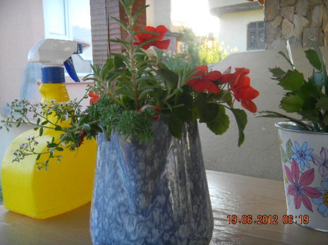 Name:  DSCN1556.jpg
Views: 756
Size:  45.9 KB
