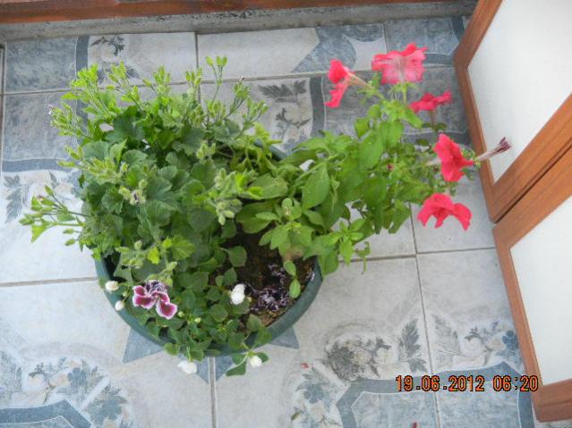Name:  DSCN1558.jpg
Views: 720
Size:  52.4 KB