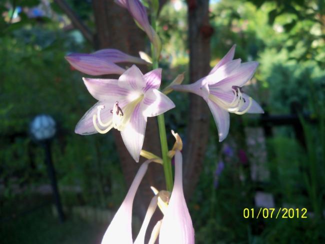 Name:  100_7668.jpg
Views: 446
Size:  34.3 KB