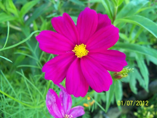 Name:  100_7674.jpg
Views: 442
Size:  40.0 KB