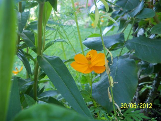 Name:  100_7565.jpg
Views: 462
Size:  45.4 KB