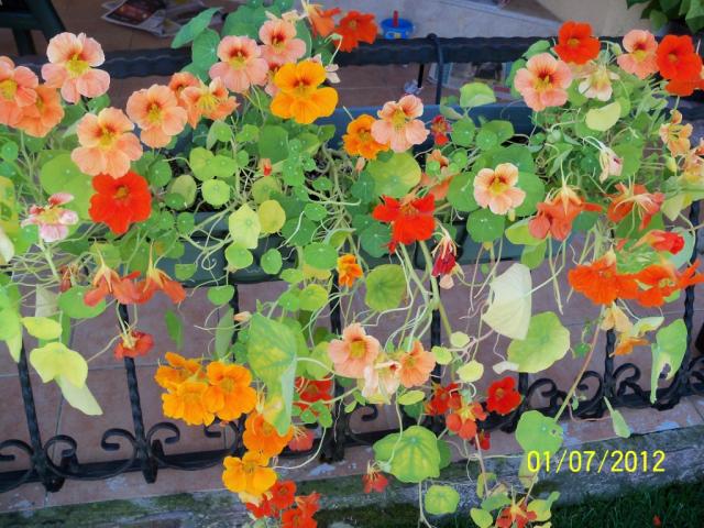 Name:  100_7734.jpg
Views: 443
Size:  69.8 KB
