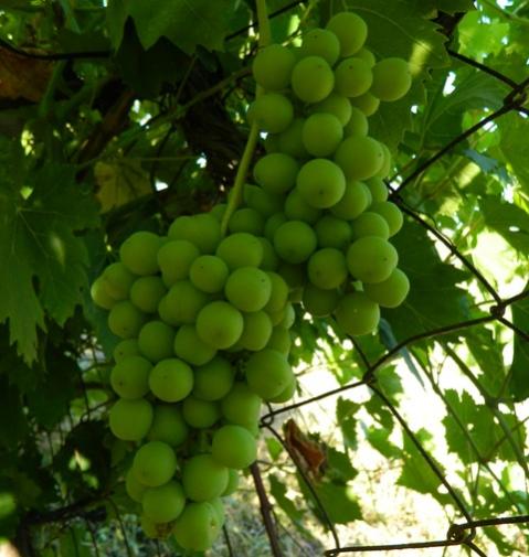 Name:  Resim 045.jpg
Views: 1761
Size:  40.1 KB