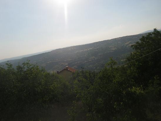 Name:  arka bahe.JPG
Views: 994
Size:  34.2 KB