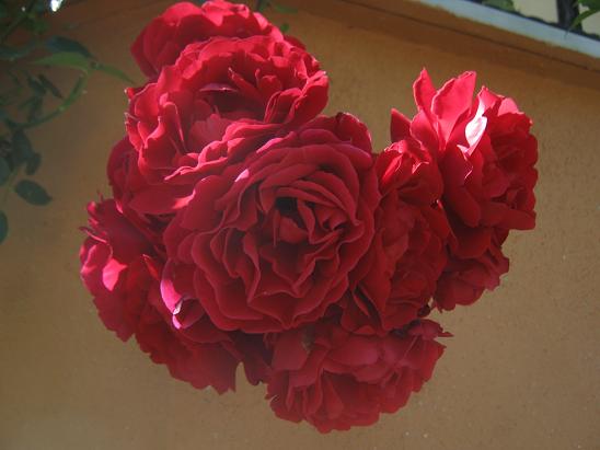 Name:  gl2.JPG
Views: 1004
Size:  38.7 KB