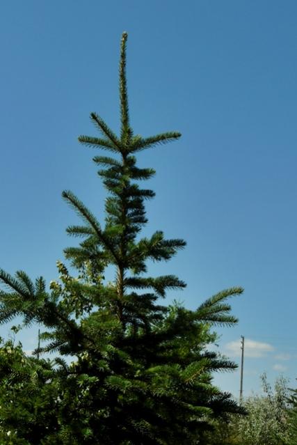 Name:  gedoru.jpg
Views: 729
Size:  34.2 KB
