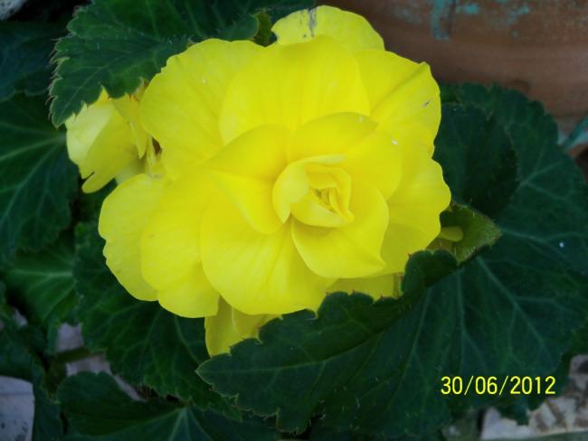 Name:  100_7571.jpg
Views: 793
Size:  29.7 KB