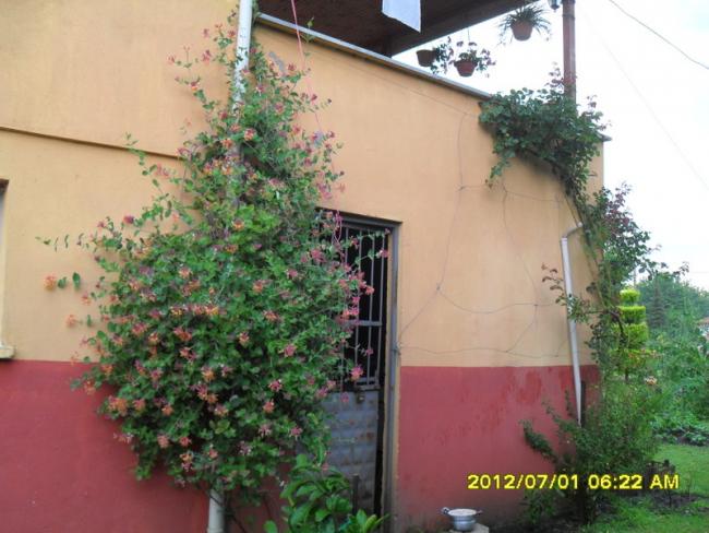 Name:  011.jpg
Views: 491
Size:  50.0 KB