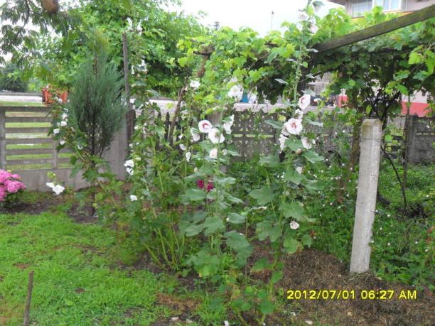 Name:  022.jpg
Views: 487
Size:  71.4 KB