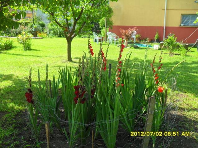 Name:  043.jpg
Views: 471
Size:  70.3 KB