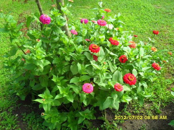 Name:  047.jpg
Views: 498
Size:  72.0 KB