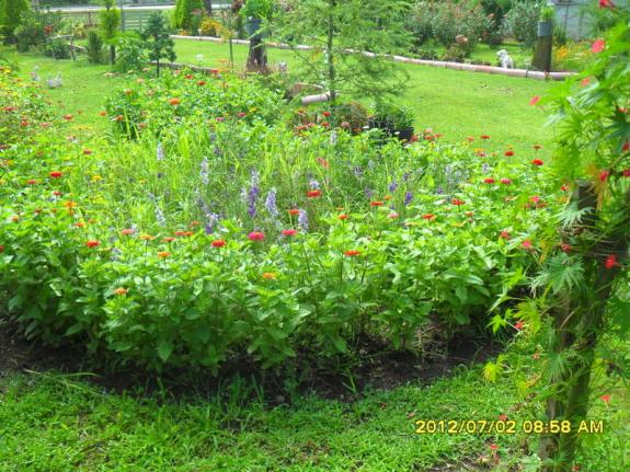 Name:  048.jpg
Views: 497
Size:  71.4 KB