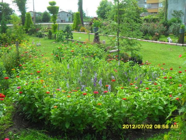 Name:  049.jpg
Views: 477
Size:  71.7 KB