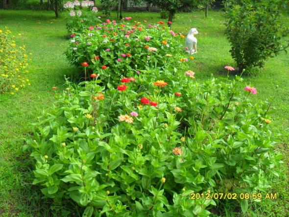 Name:  051.jpg
Views: 488
Size:  72.1 KB