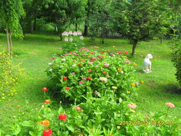 Name:  052.jpg
Views: 458
Size:  72.2 KB