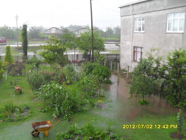Name:  088.jpg
Views: 470
Size:  54.4 KB