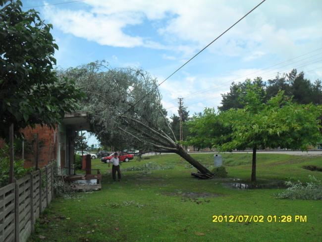 Name:  107.jpg
Views: 441
Size:  52.2 KB