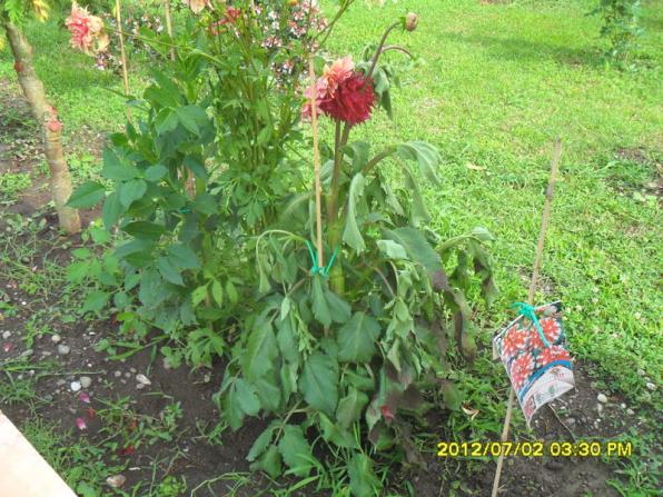 Name:  134.jpg
Views: 554
Size:  71.2 KB