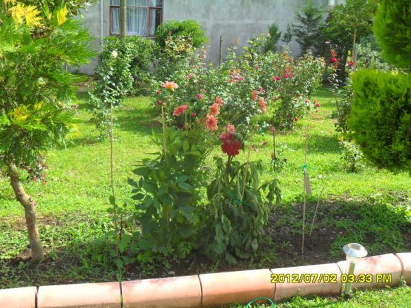 Name:  138.jpg
Views: 582
Size:  71.8 KB
