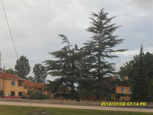 Name:  154.jpg
Views: 443
Size:  41.6 KB