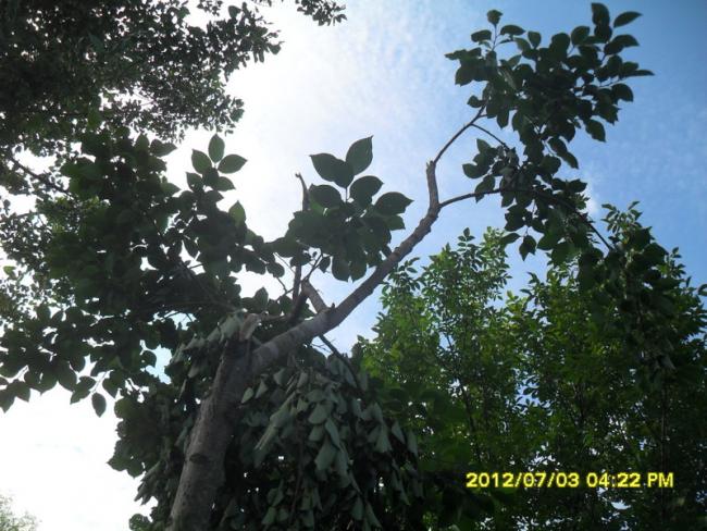 Name:  039.jpg
Views: 447
Size:  65.2 KB