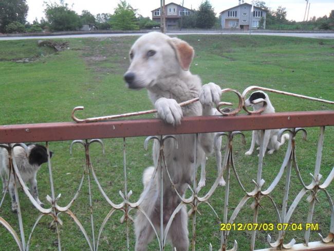Name:  075.jpg
Views: 452
Size:  59.4 KB