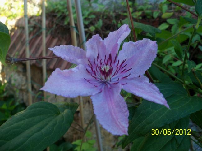 Name:  100_7438.jpg
Views: 721
Size:  41.3 KB