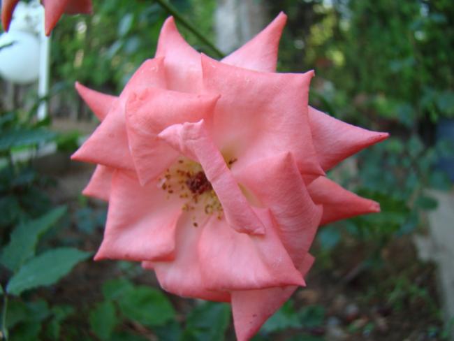 Name:  g4.jpg
Views: 981
Size:  31.7 KB