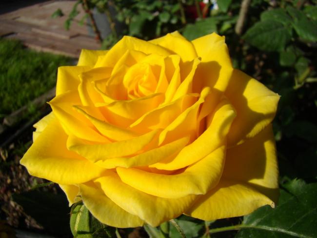 Name:  g5.jpg
Views: 1029
Size:  37.6 KB