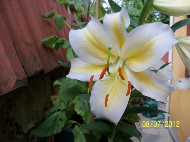 Name:  100_8589.jpg
Views: 667
Size:  39.6 KB