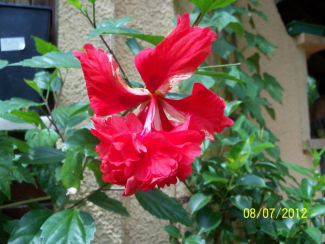 Name:  100_8683.jpg
Views: 664
Size:  49.4 KB