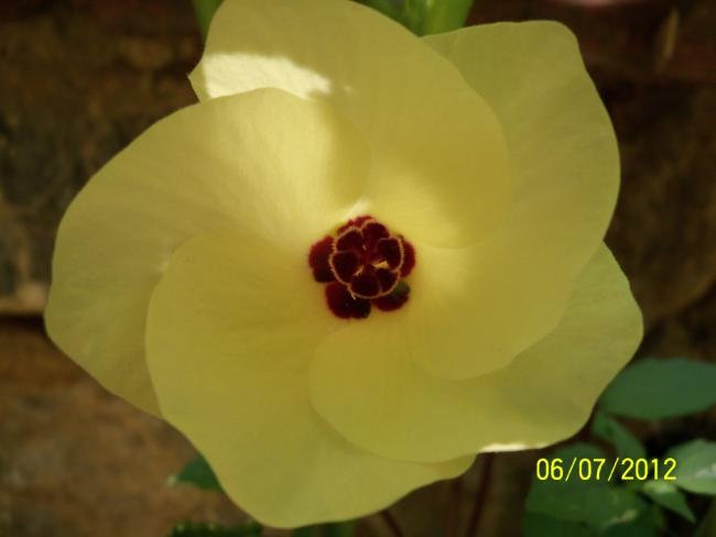 Name:  100_8256.jpg
Views: 687
Size:  20.8 KB