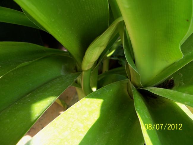 Name:  100_8665.jpg
Views: 640
Size:  32.2 KB