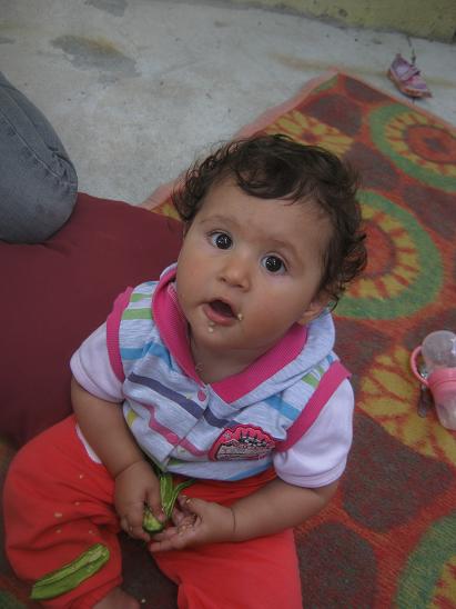 Name:  sevil1.JPG
Views: 941
Size:  37.1 KB