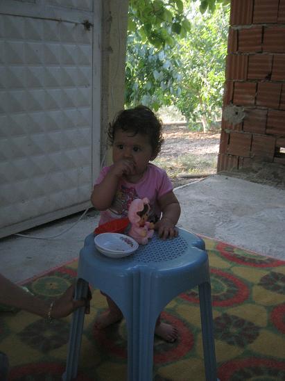 Name:  sevil3.JPG
Views: 975
Size:  40.7 KB