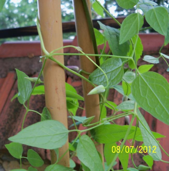 Name:  100_8649.jpg
Views: 686
Size:  52.7 KB