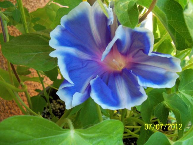 Name:  100_8442.jpg
Views: 567
Size:  44.4 KB