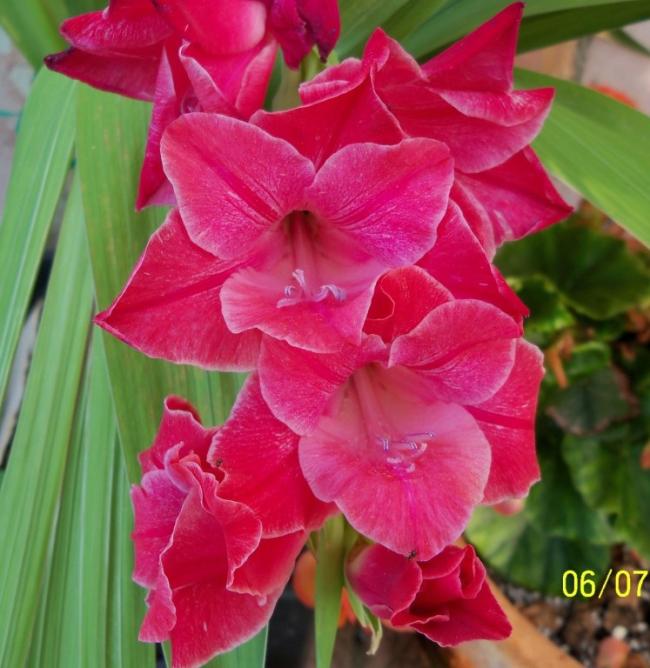 Name:  100_8360.jpg
Views: 555
Size:  56.9 KB